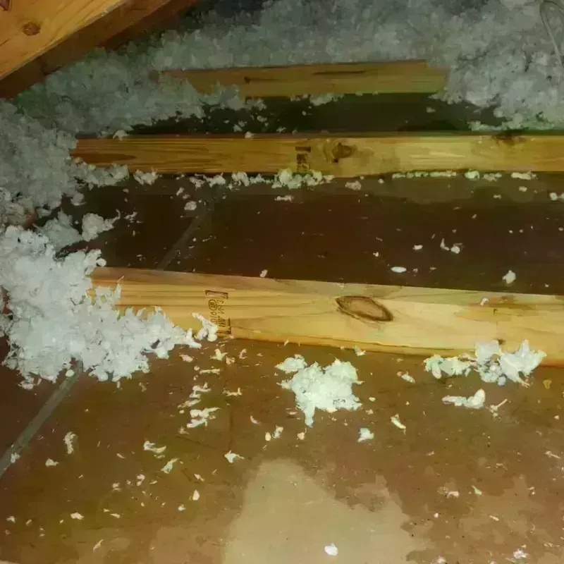 Attic Water Damage in Ridgeway, AK